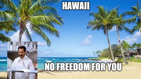 Hawaii's New Law, You gotta see this!