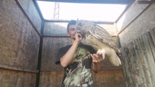 The biggest owl