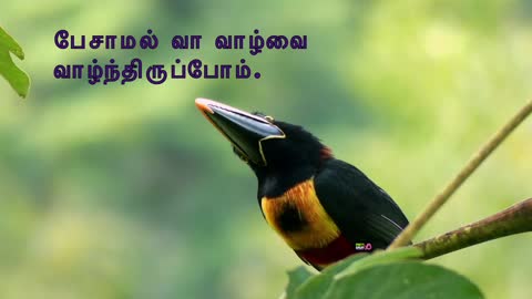 Idhuvum Kadandhu Pogum Lyric