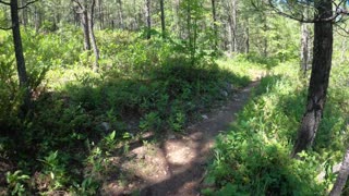 Black Hills 50M Trail Race