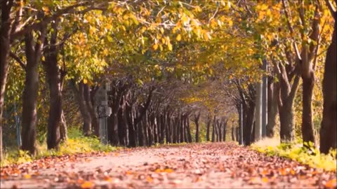 2. Luźne Rozmowy na Temat Prawa Naturalnego & Życia w Obecnych Czasach