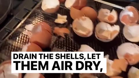 Make fertilizer from egg shells