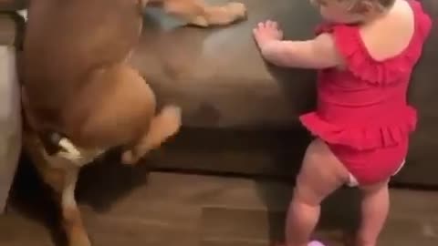 This puppy and baby are struggling to climb,very cute video