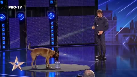 DOG! TALENTED Câinele care a uimit toata sala - Romania's Got Talent