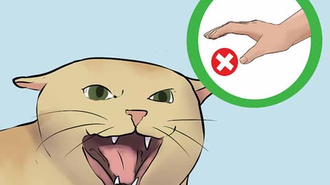 how to calm down aggressive cat