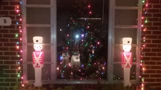 Christmas Display 2016 Nighttime The whole House