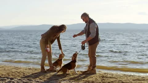 Man and woman standing on lakeshore on beautiful summer day and giving treats to cute beagle dogs