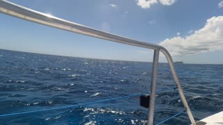 Golden Eagle Catamaran Snorkeling Adventure in St Maarten 2022- Deb and Sophia only