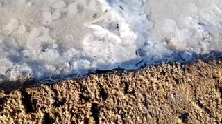 Salt from nature, incredible find underfoot