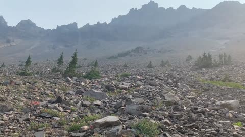 Oregon - Mount Jefferson Wilderness - Looking up at Three Fingered Jack Mountain in all its Glory