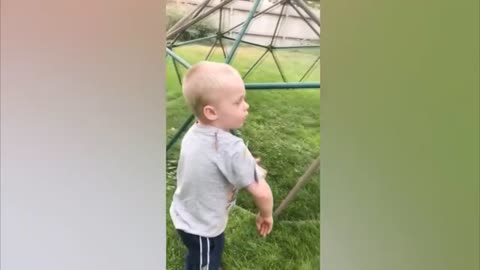 Babies Vs Insects Come laugh with this Funny Babies and Insects Video