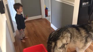 Adorable toddler commanding dog to eat bone