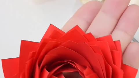 Red Rose from a Paper Cup