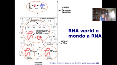 Lezione sull'orgine della vita: il mondo a RNA