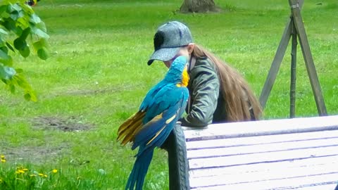 Девочка и попугай Ара ,фотограф с мартышкой