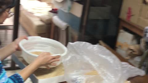 種籾の選別 ササシグレ米作り
