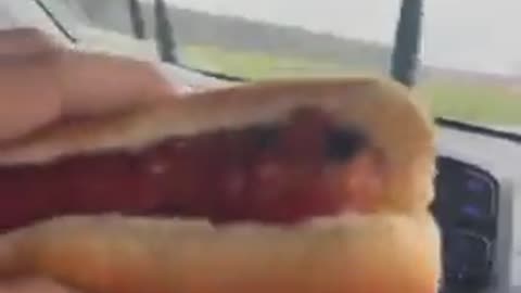 Car Comes With a Convenient Hotdog Holder