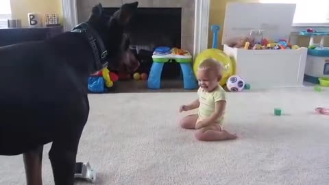 Kid Playing With His Dog