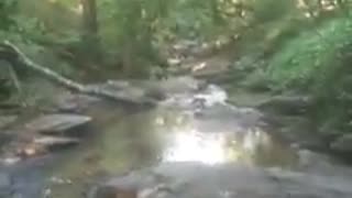 nice creek