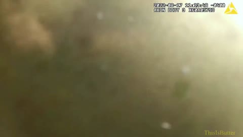 Underwater rescue by NYS trooper caught on body cam