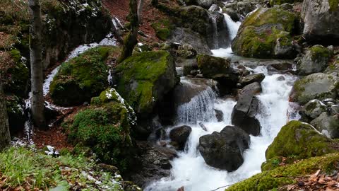 Fuente de vida