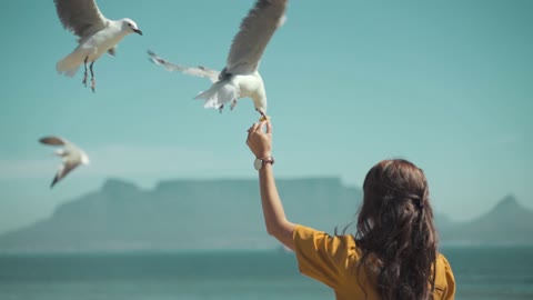 Lady Feeding a Bird