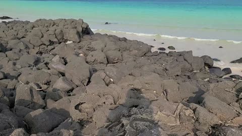 The Blue Sea of Jeju Island, Korea