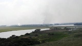 El Pantanal brasileño declara emergencia ante el avance de los incendios