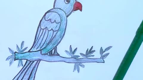 How to draw birds easily