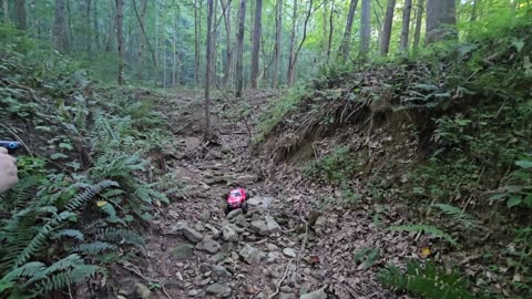 No Hand of God Creek Crawl with Connie and Her TRX4