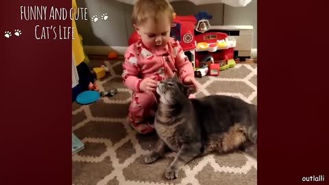 A Cat will make your life full of Emotion! Funny and Cute moments Cat & Owner together