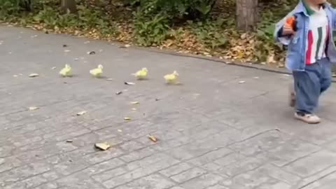 See how cute this human kindergarten is