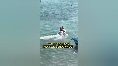 Shark Scare