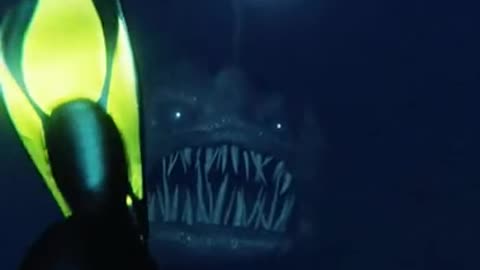 Creepy Footage caught by scuba diver under deep dark waters