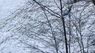 Kids on red sled down snowy hill