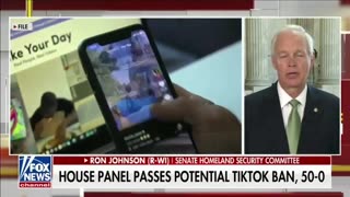This Is An All Out Assault On America By China & Biden's Policies Allow It - Ron Johnson