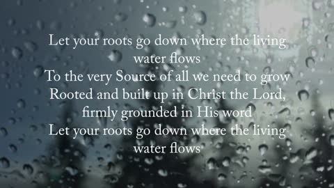 Christian Music and Songs - Let Your Roots Go Down