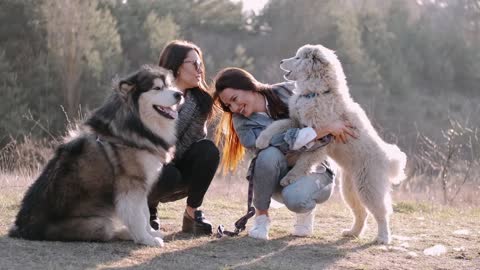 Beautiful Two Dog and Two Beautiful Girls playing my cute Doge Oh my gods show cute