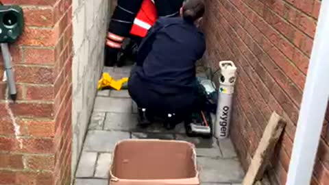 Stuck Cat Rescued by Firefighters