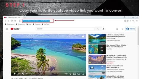 Youtube Audio and Video Downloader Free Online