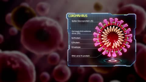 Medical Animation Coronavirus Structure