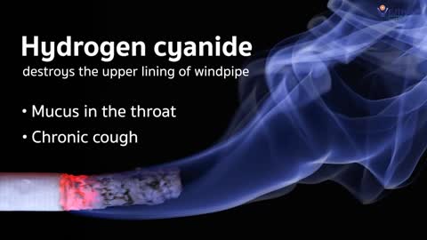 Myths About Smoking and Lung Cancer | Vejthani's Scoop