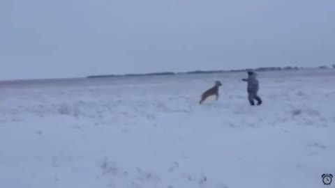 Man playing with the goat in snow but the goat hit him hard and run away