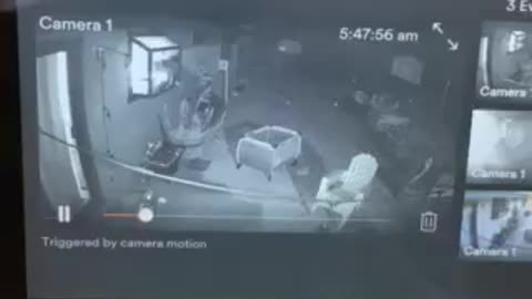 Demonic activity on security cameras