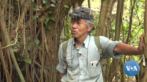 Search for WWII Bones on Okinawa Continues Amid Modern Tensions