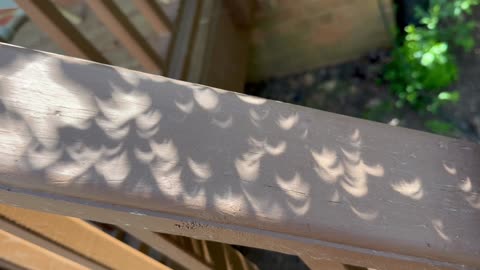 Crescent Shadows During a Solar Eclipse