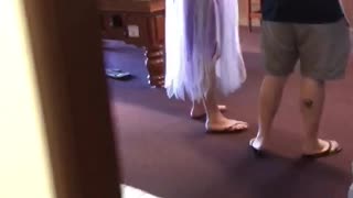 Kangaroo Hops Inside Pub for a Cold One