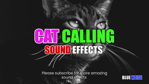 Mother cat calling sound effects