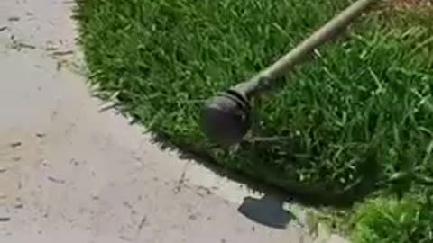 Lawn Edging