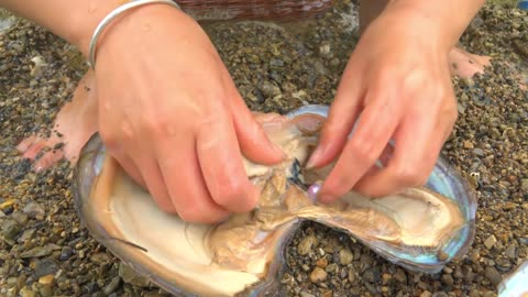 Wow! lucky to discover strange stones and giant clams, and collect beautiful pearls